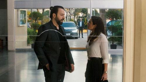 Me Season 1 Episode 1 - The Year of Transformations