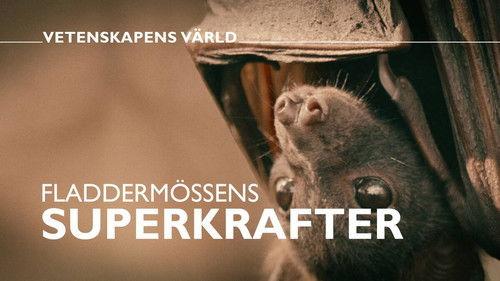 Vetenskapens värld Season 48 Episode 2 - Episode 2