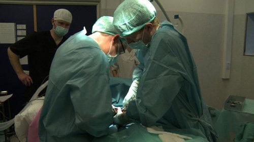 Dyrepasserne Season 4 Episode 8 - Episode 8