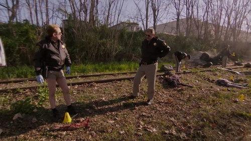 Reno 911! Season 1 Episode 23 - Cats-ident