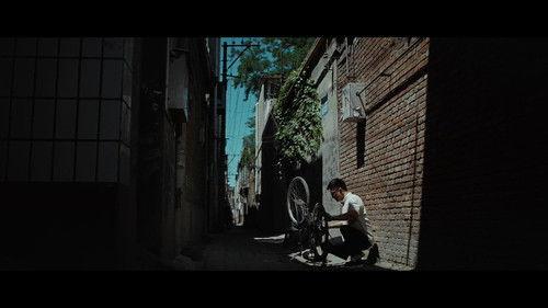 Mr. Nobody Season 1 Episode 14 - Episode 14