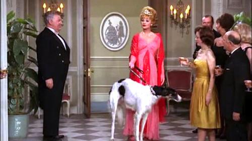 The Lucy Show Season 3 Episode 20 - My Fair Lucy