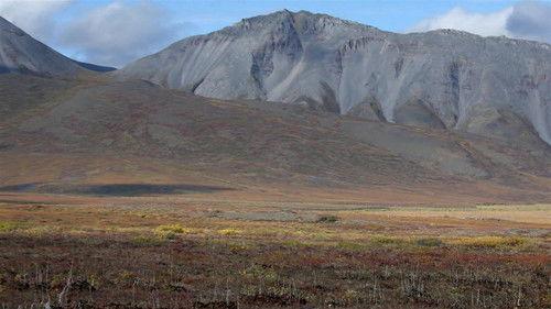 Life Below Zero Season 22 Episode 7 - Beyond the Tundra