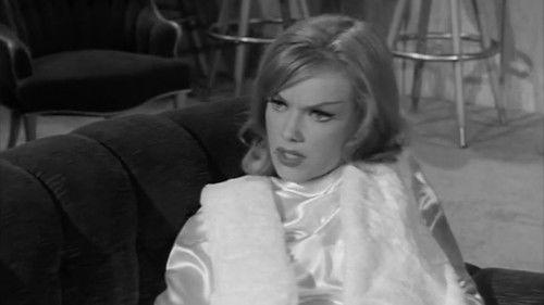 Honey West Season 1 Episode 9 - The Flame and the Pussycat