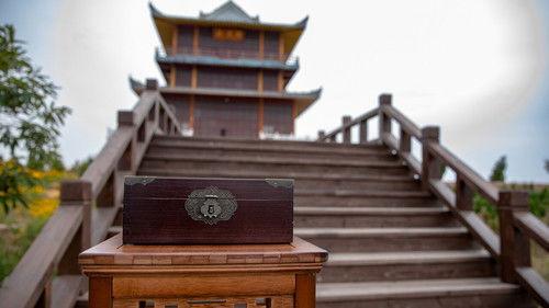 Wie is de Mol? Season 20 Episode 4 - Misled