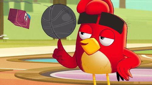 Angry Birds: Summer Madness Season 1 Episode 1 - Cabin Raid!