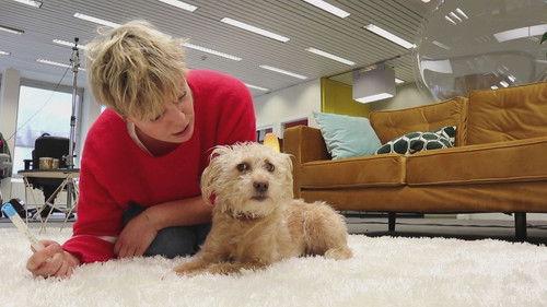 Factcheckers Season 1 Episode 4 - Can dogs licks be dangerous?