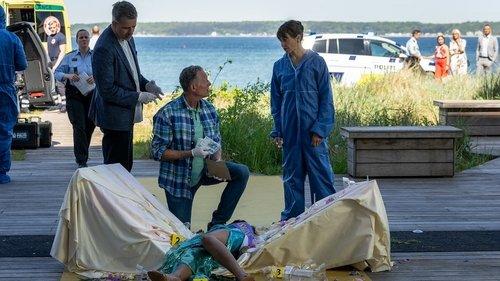 The Sommerdahl Murders Season 6 Episode 3 - The other side of the coin (1)