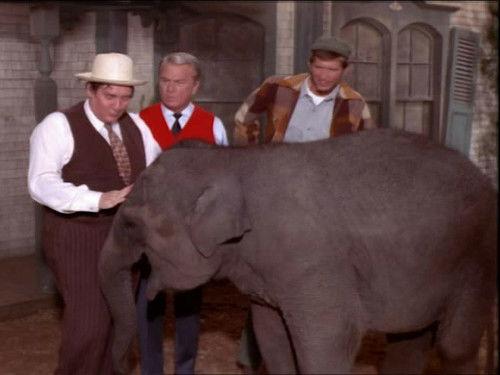 Green Acres Season 6 Episode 2 - The Coming-Out Party