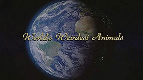 Gemini Home Entertainment Season 1 Episode 1 - WORLD'S WEIRDEST ANIMALS