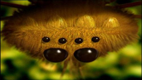 Minuscule: The Private Life of Insects Season 1 Episode 42 - A Gust of Wind