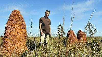 Secrets of Our Living Planet Season 1 Episode 2 - The Secret of the Savannah