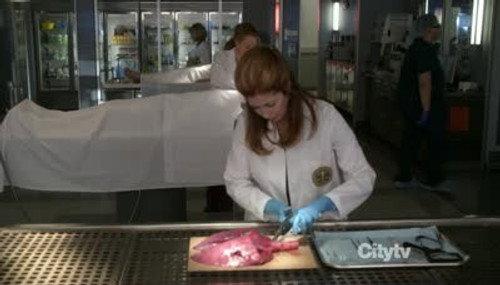 undefined Season 2 Episode 3 - Missing