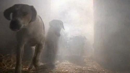 Are You Afraid of the Dark? Season 1 Episode 5 - The Tale of the Hungry Hounds