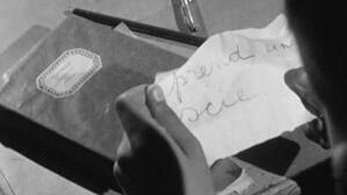 Poly Season 1 Episode 5 - Episode 5