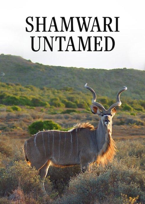 Shamwari Untamed poster