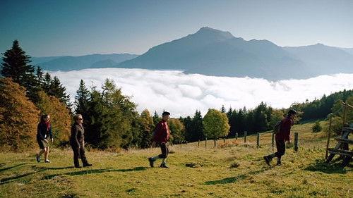 Vier Frauen und ein Todesfall Season 4 Episode 3 - Liebesfalle