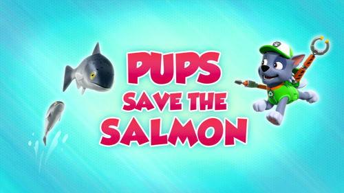 PAW Patrol Season 8 Episode 17 - Pups Save the Salmon