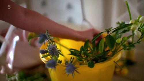 Rich House, Poor House Season 7 Episode 8 - Episode 8