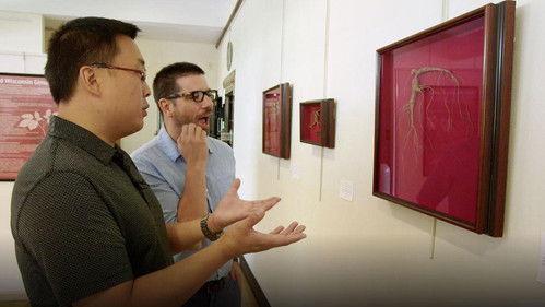 Wisconsin Foodie Season 9 Episode 3 - Ginseng