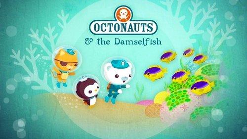 Octonauts Season 2 Episode 9 - The Damselfish