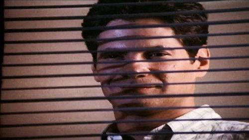 Melrose Place Season 2 Episode 17 - Michael's Game