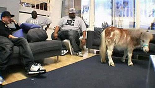 Rob & Big Season 2 Episode 1 - Meaty & Mini