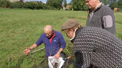 Frank & Kastaniegaarden Season 15 Episode 4 - Episode 4