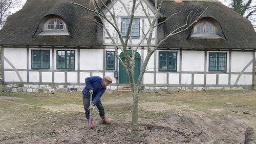 Frank & Kastaniegaarden Season 18 Episode 5 - Episode 5