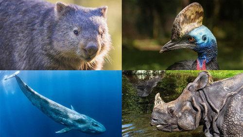 NOVA Season 49 Episode 2 - Secrets in the Scat