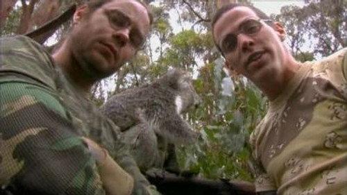 Wildboyz Season 2 Episode 5 - Australia II