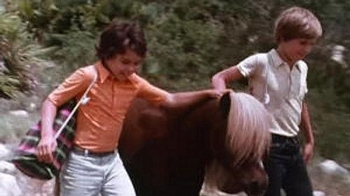 Poly Season 8 Episode 7 - Episode 7