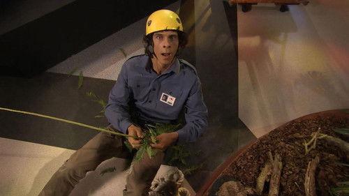 Andy's Dinosaur Adventures Season 1 Episode 2 - Diplodocus and Fern