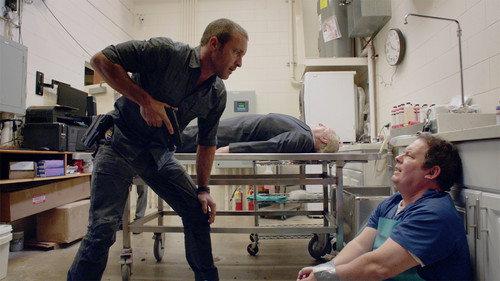 Hawaii Five-0 Season 8 Episode 14 - Nā keiki a Kalaihaohia (The Children of Kalaihoahia)