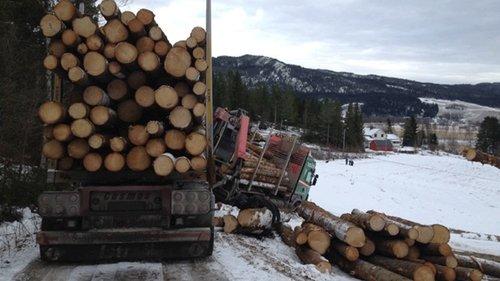 Ice Road Rescue Season 1 Episode 9 - Fishy Business
