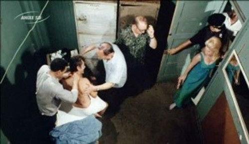 Hawaii Five-O Season 1 Episode 20 - Along Came Joey