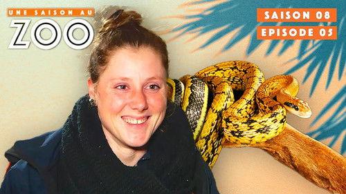 Une saison au zoo Season 8 Episode 5 - Episode 5