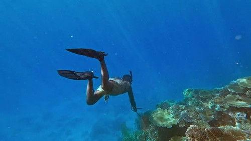 Survivor Season 48 Episode 11 - Coconut Etiquette