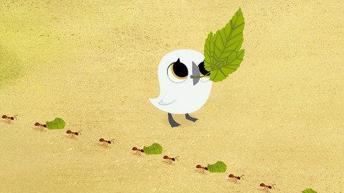 Puffin Rock Season 3 Episode 7 - Bug Bug Buggies
