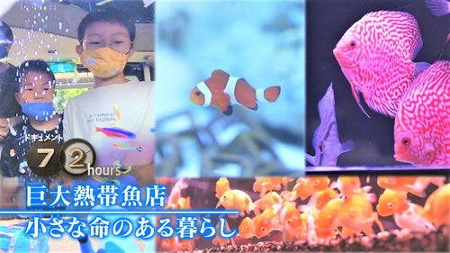 Document 72 Hours Season 12 Episode 17 - Giant Tropical Fish Store: A Life with Small Lives