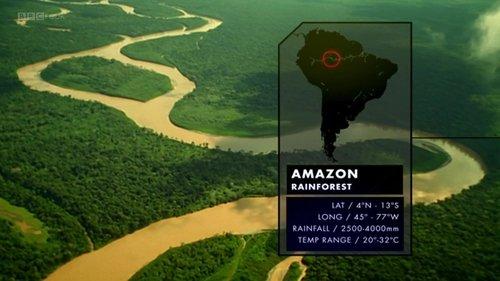 Nature's Microworlds Season 1 Episode 3 - Amazon