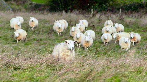 Countryfile Season 35 Episode 13 - Seasonal Hub