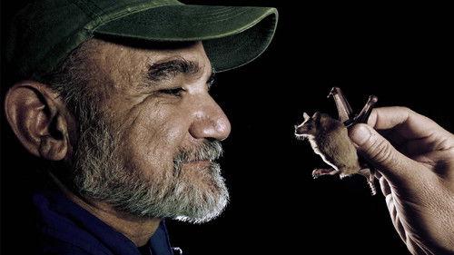 Nature Season 39 Episode 13 - The Bat Man of Mexico