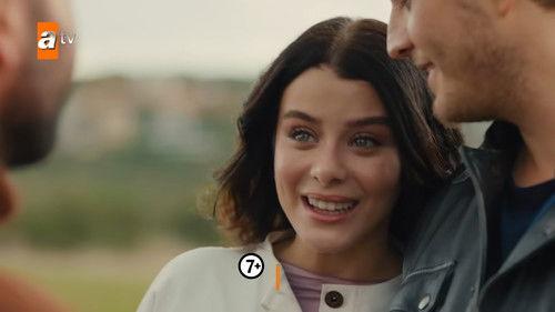 Street Birds Season 2 Episode 10 - Episode 31