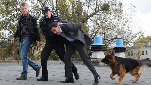 Komisarz Alex Season 2 Episode 11 - Episode 11