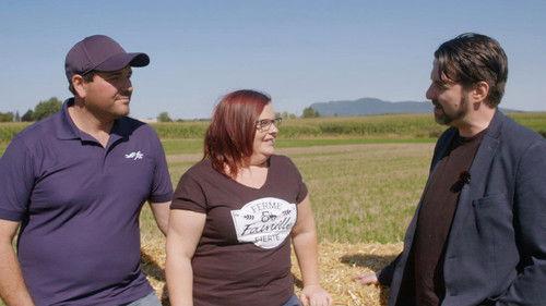 Code Québec Season 1 Episode 12 - Episode 12