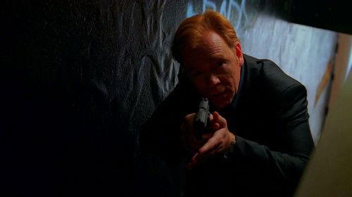 CSI: Miami Season 7 Episode 20 - Wolfe In Sheep's Clothing