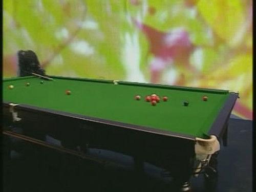 The Fast Show Season 2 Episode 4 - Badger Watch