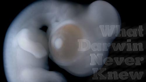 NOVA Season 37 Episode 8 - What Darwin Never Knew