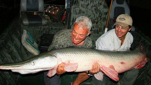 River Monsters Season 1 Episode 3 - Alligator Gar
